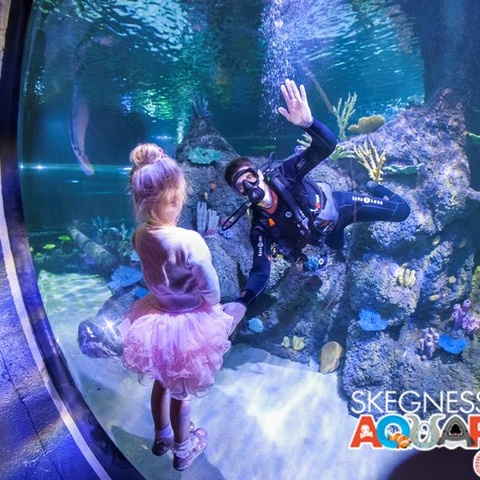 Skegness Aquarium